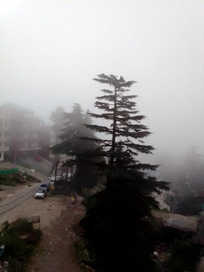 Moonlight Ridge Leilighet McLeod Ganj Eksteriør bilde