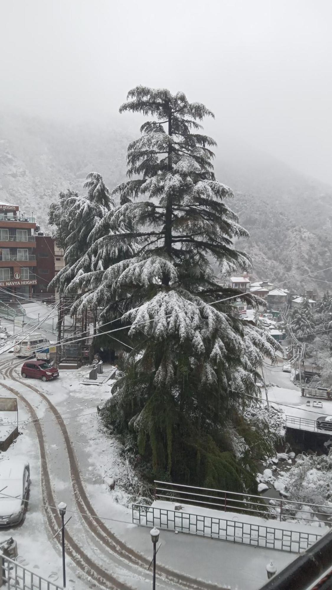 Moonlight Ridge Leilighet McLeod Ganj Eksteriør bilde